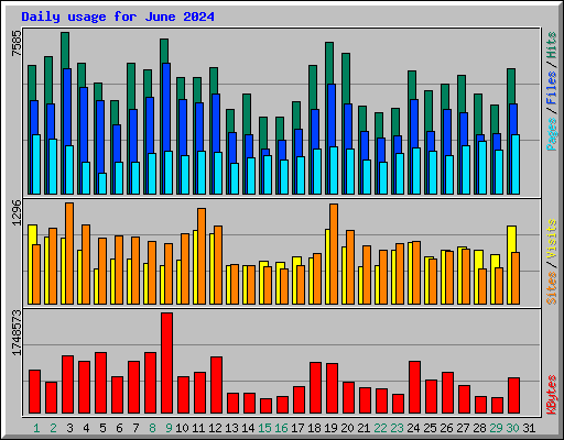 Daily usage for June 2024