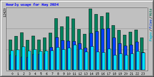 Hourly usage for May 2024